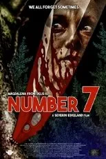 Póster de Number 7