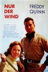 Póster de Nur der Wind