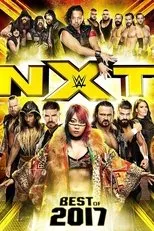 Póster de NXT: Best of 2017