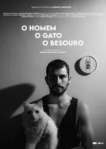 Póster de O Homem O Gato O Besouro