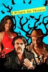 Póster de O Milagre dos Pássaros