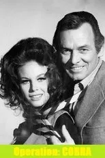 Póster de O'Hara, United States Treasury: Operation Cobra