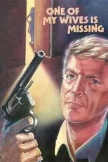 Póster de One of My Wives Is Missing