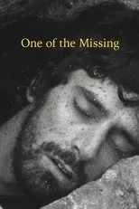 Póster de One of the Missing