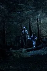 Póster de Ordan's Forest