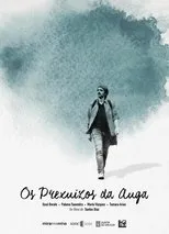 Póster de Os prexuízos da auga