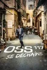 Póster de OSS 117 se déchaîne