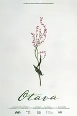 Póster de Otava