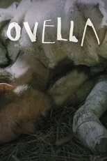 Póster de Ovella