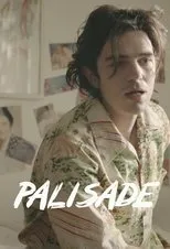 Póster de Palisade