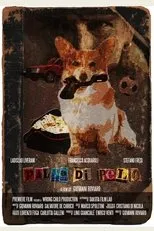 Póster de Palla di pelo