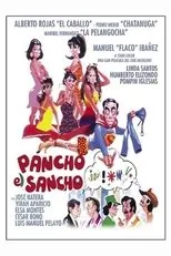 Póster de Pancho el Sancho