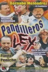 Póster de Pandilleros Ley