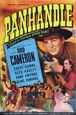Póster de Panhandle