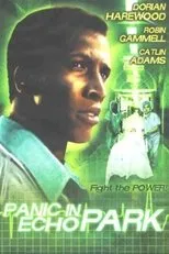 Póster de Panic in Echo Park