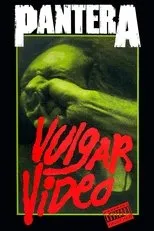Póster de Pantera: Vulgar Video