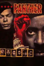 Póster de Panther