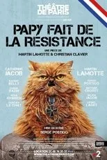 Póster de Papy fait de la résistance