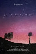 Póster de Parece que va a nevar