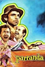 Póster de Parranda