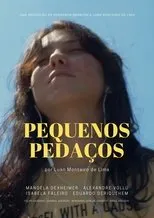 Póster de Pequenos Pedaços