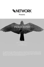 Póster de Peregrine