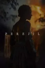 Póster de Perejil