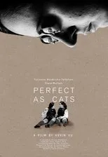Póster de Perfect as Cats