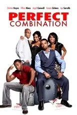 Póster de Perfect Combination