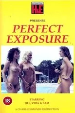 Póster de Perfect Exposure