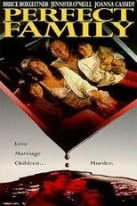 Póster de Perfect Family