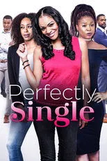 Póster de Perfectly Single