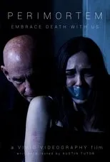 Póster de Perimortem