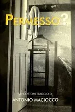 Póster de Permesso?