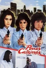 Póster de Perras callejeras