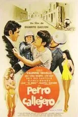 Póster de Perro callejero