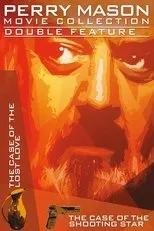 Póster de Perry Mason: El caso del amor perdido