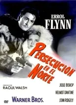 Póster de Persecución en el Norte