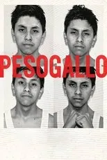 Póster de Peso Gallo