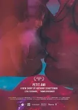Póster de Petit ami