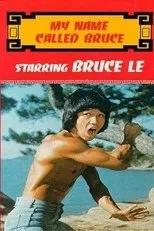 Póster de Pi li long quan