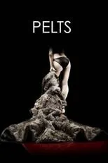 Póster de Pieles