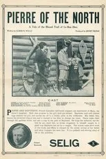 Póster de Pierre of the North