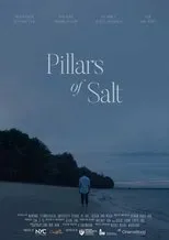 Póster de Pillars of Salt