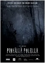 Póster de Pimeällä polulla