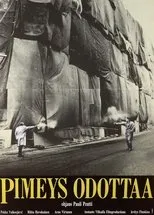 Póster de Pimeys odottaa