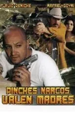 Póster de Pinches narcos... valen madre