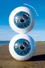 Póster de Pink Floyd P.U.L.S.E.