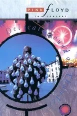 Póster de Pink Floyd: Delicate Sound of Thunder