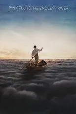 Póster de Pink Floyd: The Endless River